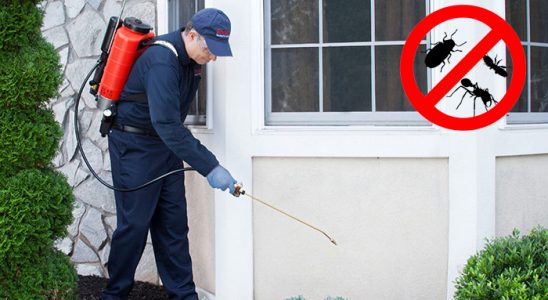 Başakşehir Karınca İlaçlama böcek ilaçlama ve haşere kontrolü — ilaclama-tr.com